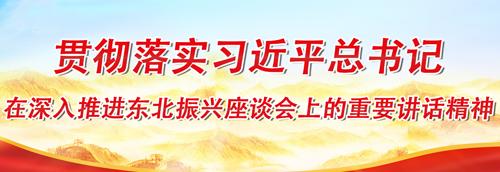 貫徹落實(shí)習(xí)近平總書(shū)記在深入推進(jìn)東北振興座談會(huì)上的講話(huà)精神