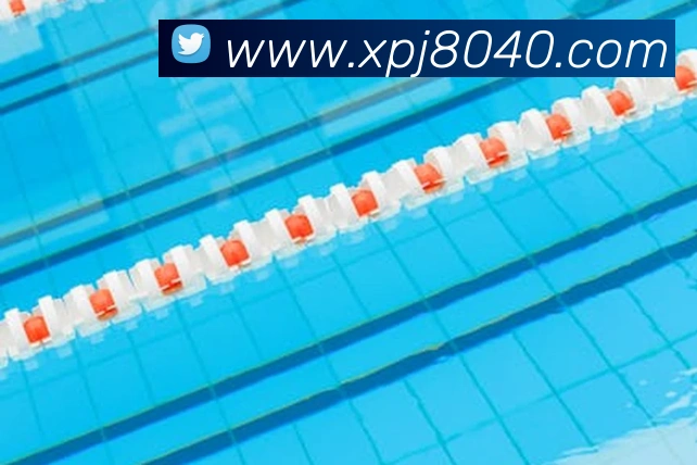 澳门新葡京网站入口APP 高清赛事图